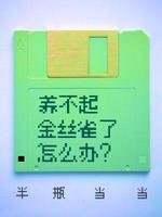 《養不起金絲雀了怎麼辦?》
