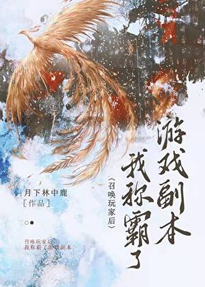 《召唤玩家,称霸副本》