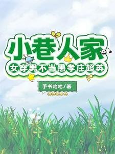 《(影视同人)小巷人家:女穿男不当愚孝庄超英》
