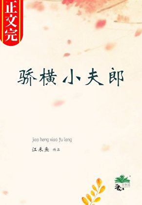 《上门书生的骄横小夫郎》
