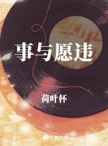《事与愿违》
