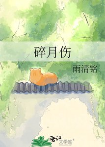 《碎月伤》
