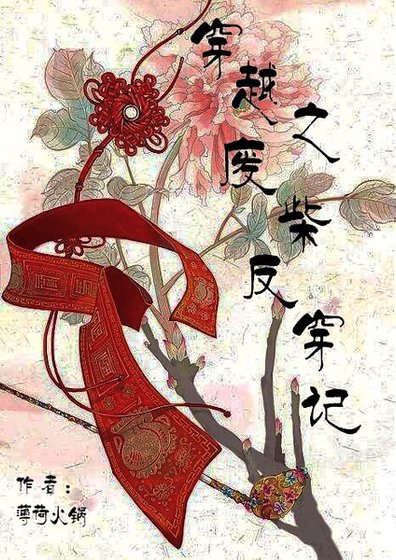 《穿越之废柴反穿记》
