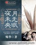 《夜未央月无眠》