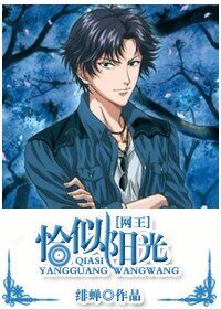 《(BG/网王同人)恰似阳光》