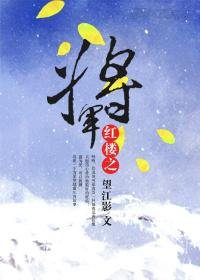 《(BG/红楼同人)红楼之将军》