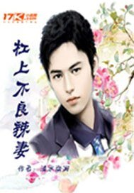 《杠上不良辣妻》