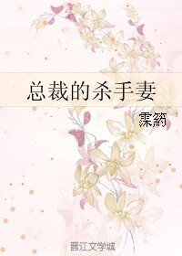 《总裁的杀手妻》